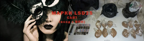 прущий лед Корсаков
