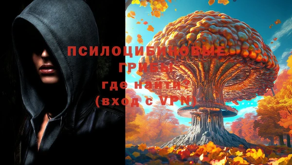 экстази Алексин