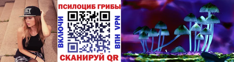 Псилоцибиновые грибы GOLDEN TEACHER  Железноводск 