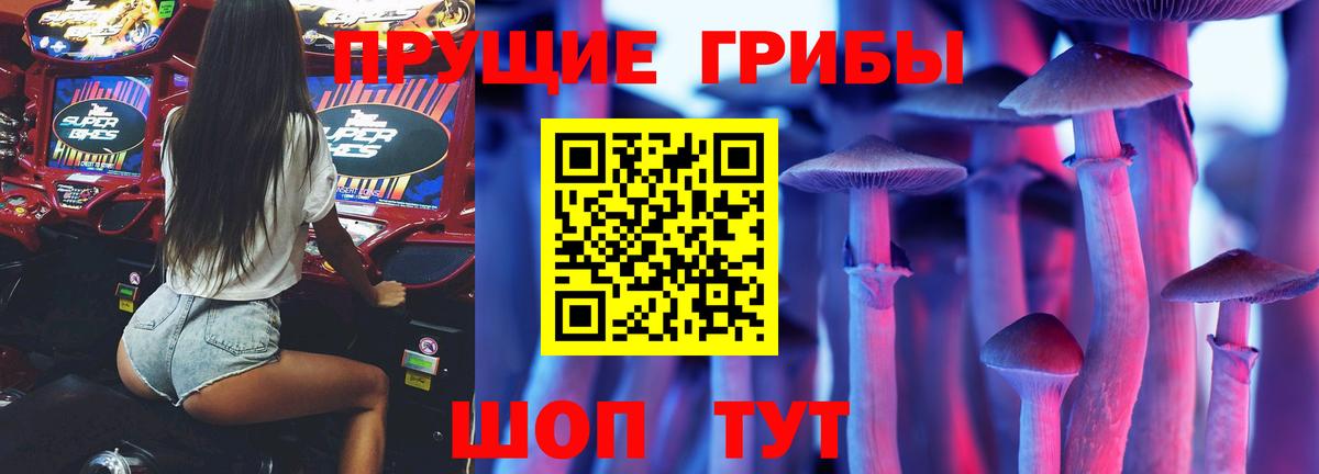 Галлюциногенные грибы Psilocybine cubensis Железноводск